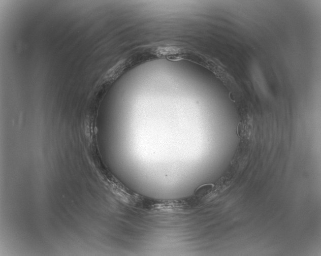 X0000053000763200508051134