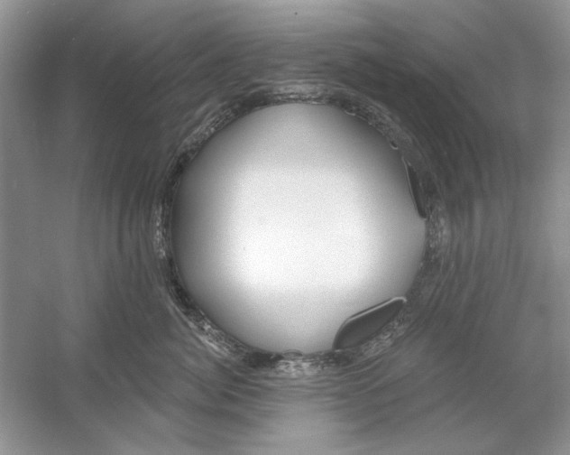 X0000053000764200508051134