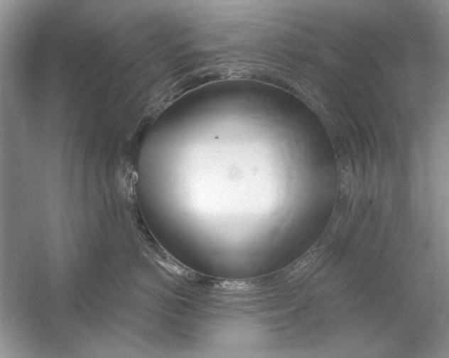 X0000053000766200508051134