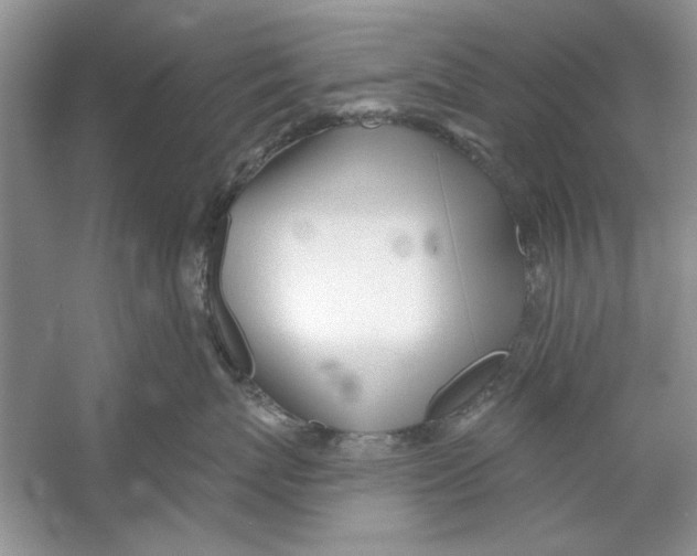 X0000053000767200508051134