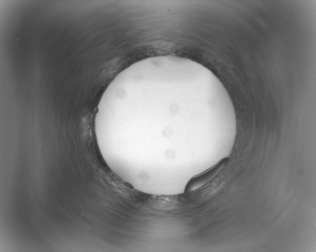 X0000053000768200508051134