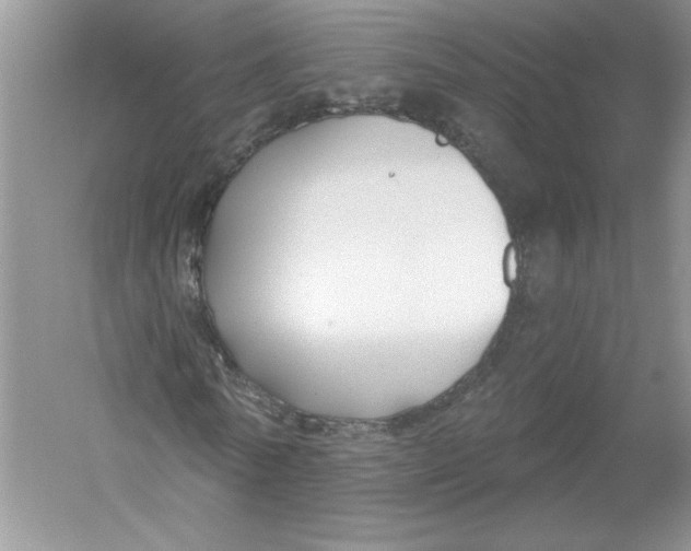 X0000053000770200508051133