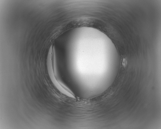 X0000053000771200508051133