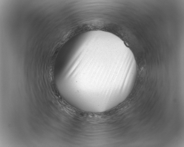 X0000053000772200508051133