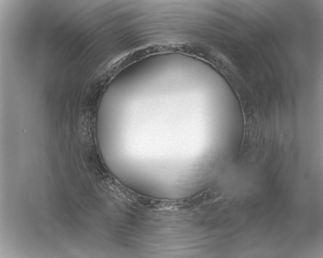 X0000053000773200508051133