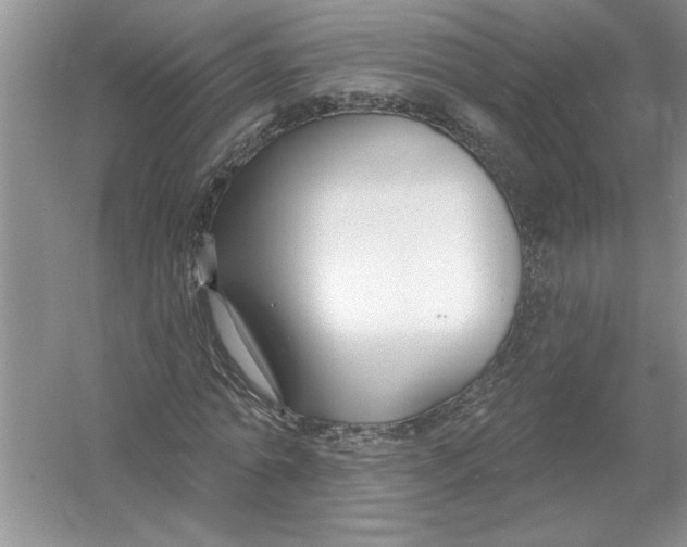 X0000053000774200508051133