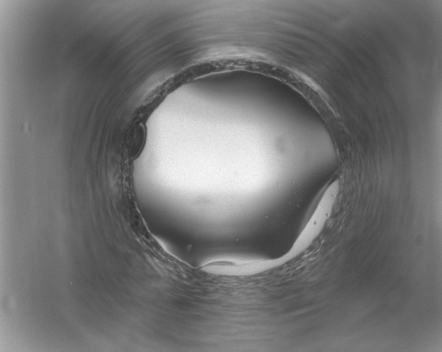 X0000053000775200508051133