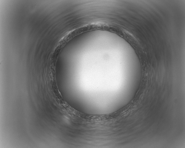 X0000053000776200508051133