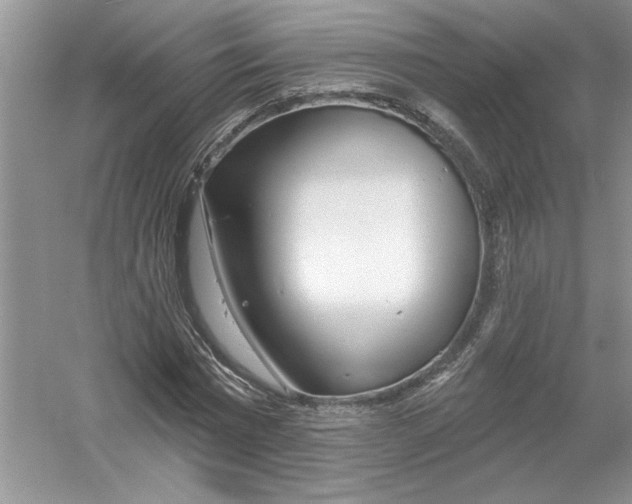 X0000053000777200508051133