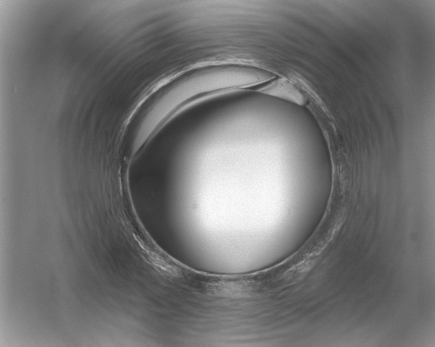 X0000053000781200508051133