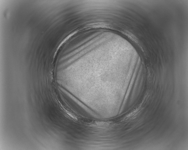 X0000053000782200508051133