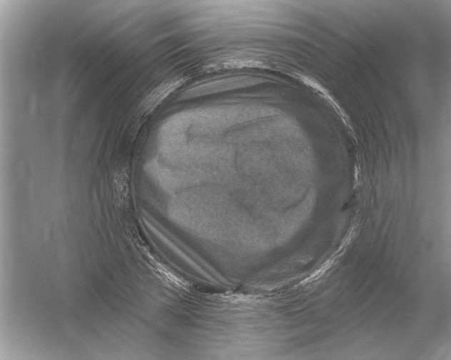 X0000053000785200508051133