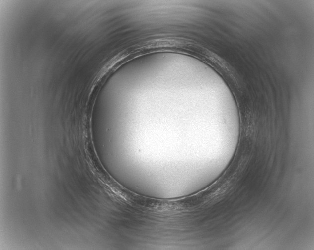 X0000053000786200508051133