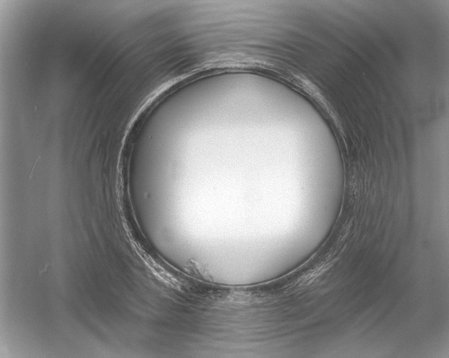 X0000053000787200508051133