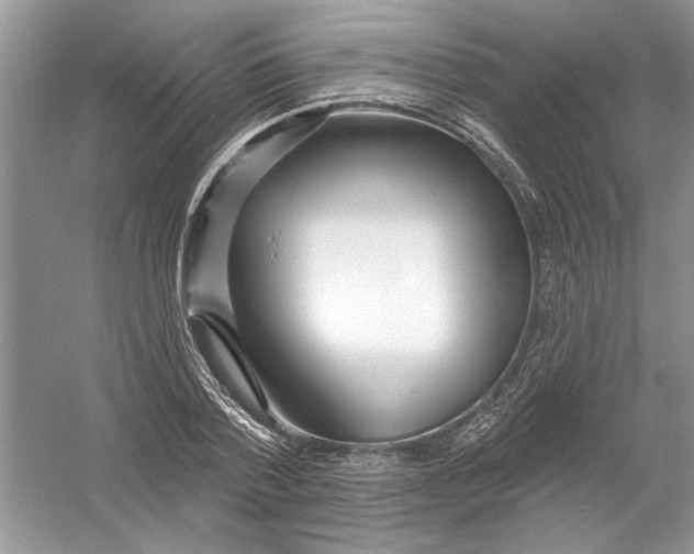 X0000053000788200508051133