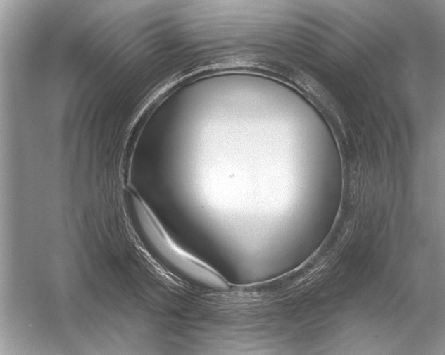 X0000053000789200508051133