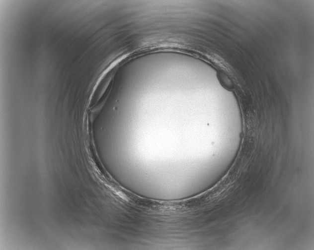 X0000053000790200508051133