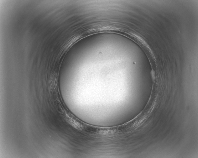 X0000053000793200508051133