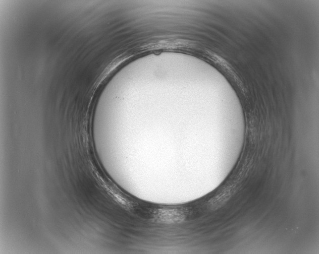 X0000053000794200508051133