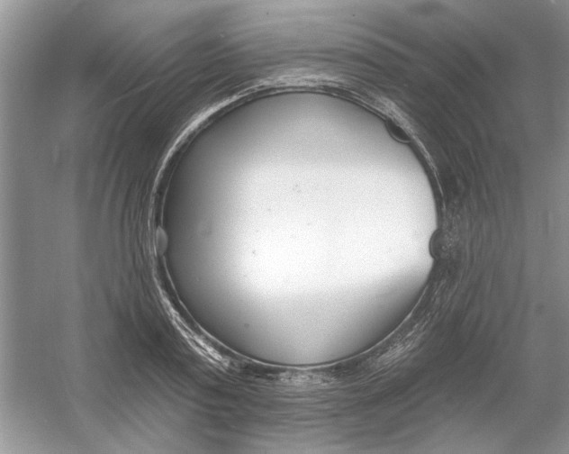 X0000053000795200508051133