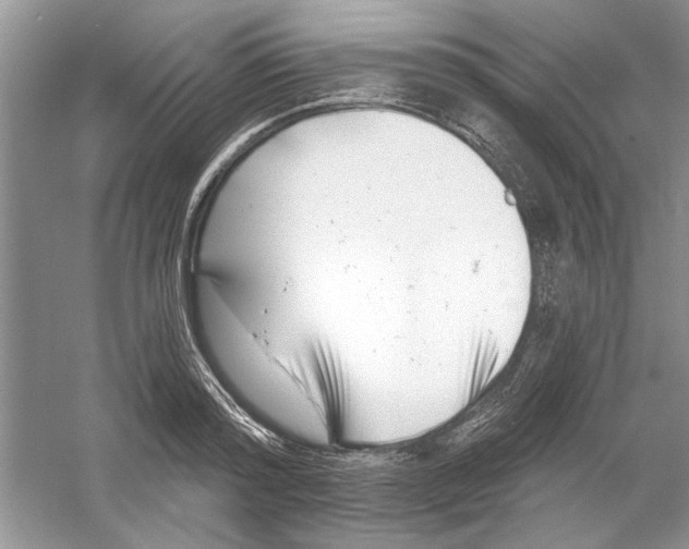 X0000053000796200508051133