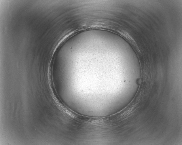 X0000053000798200508051133