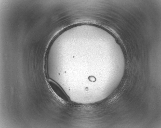 X0000053000799200508051133