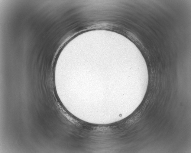 X0000053000800200508051133