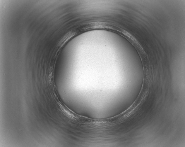 X0000053000801200508051133