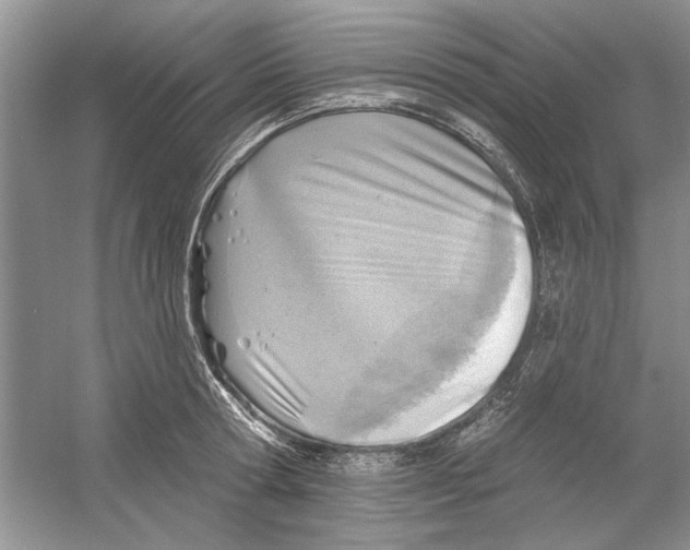 X0000053000802200508051133