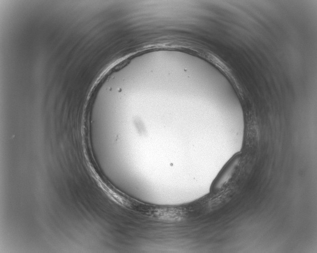 X0000053000803200508051133