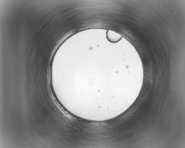 X0000053000804200508051133