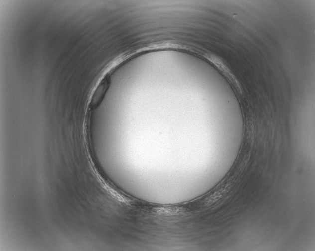 X0000053000805200508051133