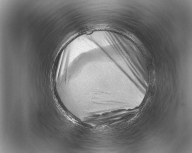 X0000053000806200508051133