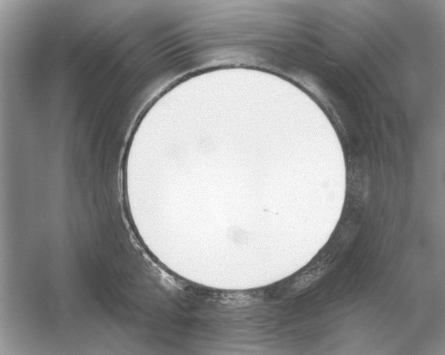 X0000053000807200508051132