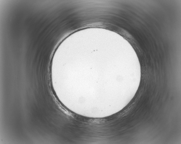 X0000053000808200508051132