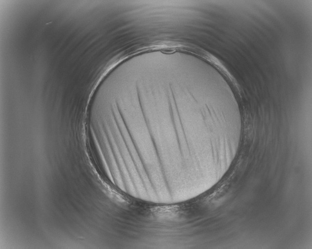 X0000053000810200508051132