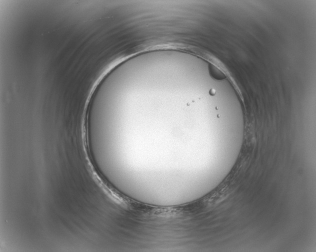 X0000053000811200508051132