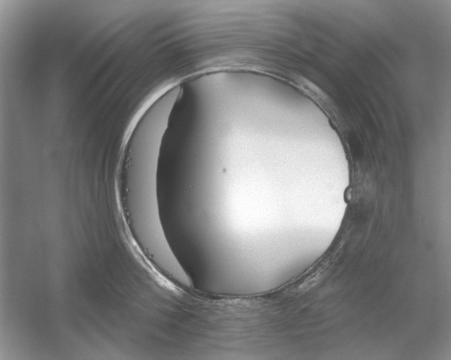 X0000053000812200508051132