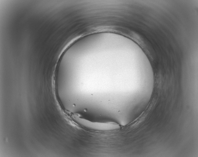 X0000053000814200508051132