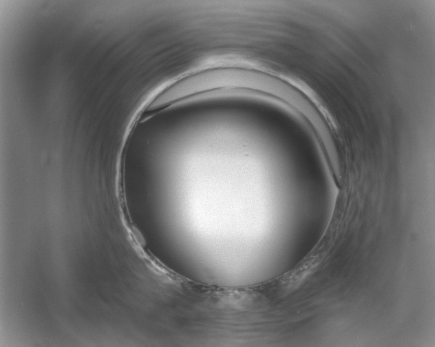 X0000053000815200508051132