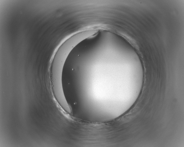 X0000053000816200508051132