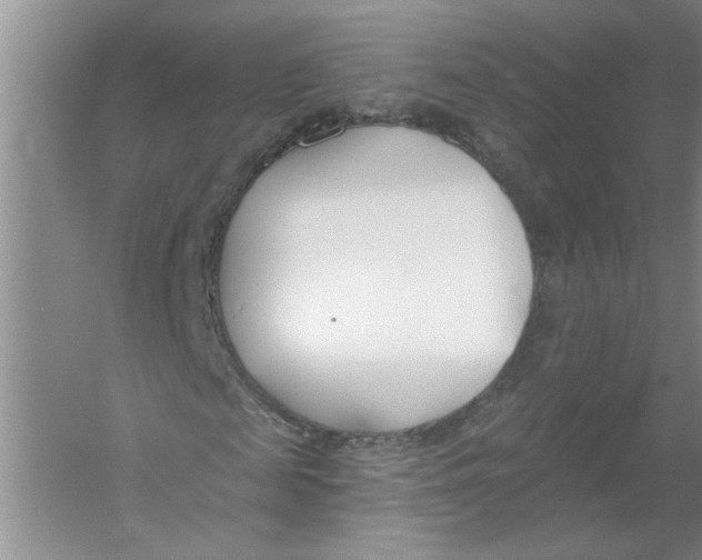 X0000053000817200508051132