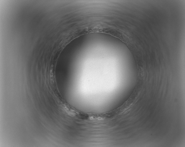 X0000053000818200508051132