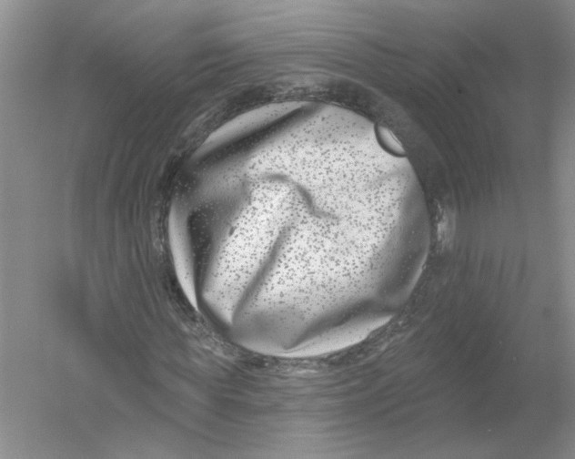 X0000053000819200508051132