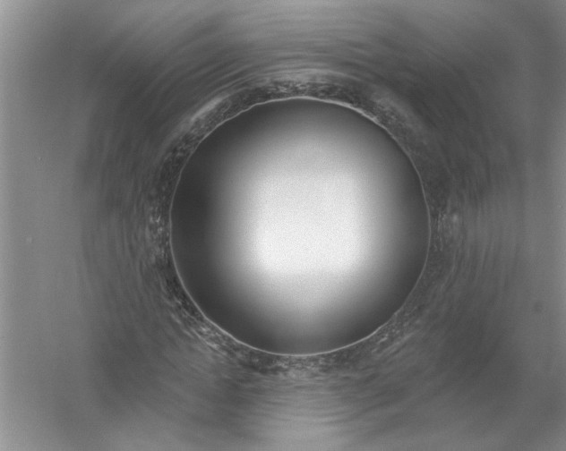 X0000053000822200508051132