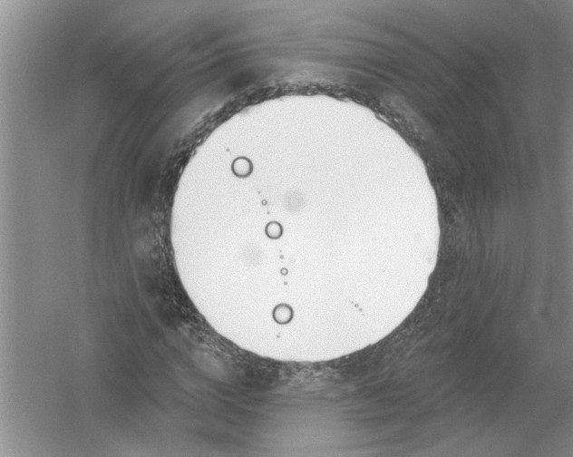 X0000053000824200508051132