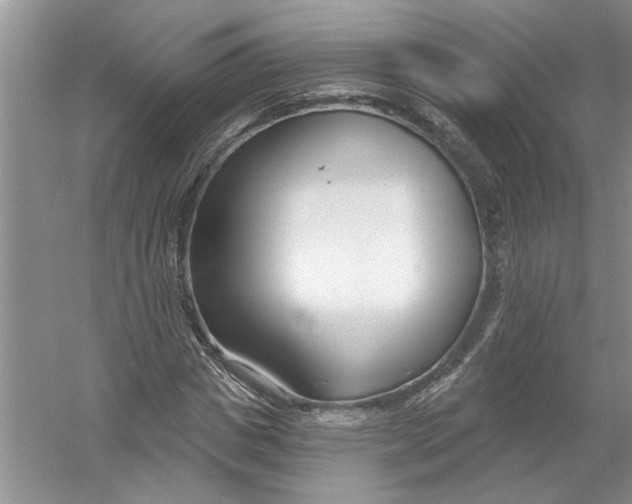 X0000053000825200508051132