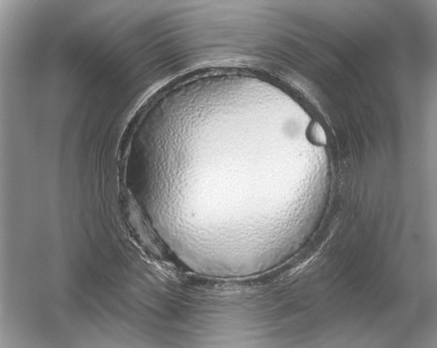 X0000053000829200508051132