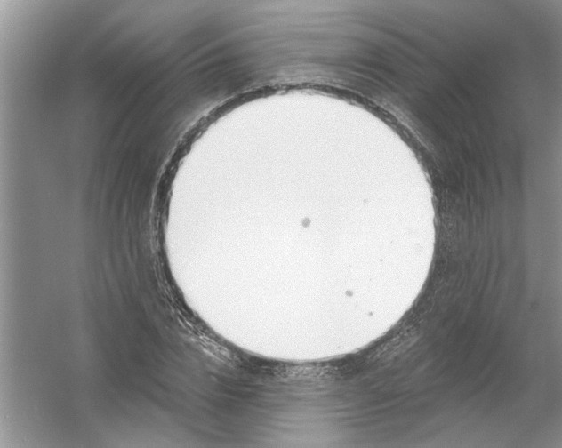 X0000053000832200508051132